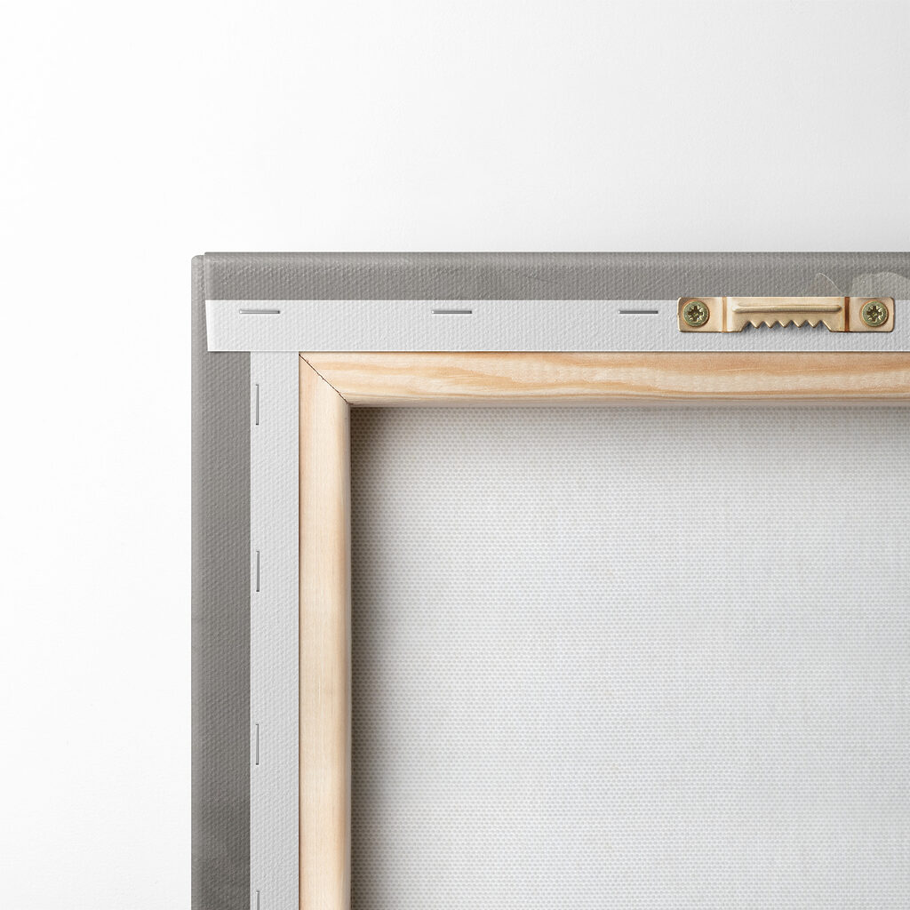 Pivoine sur gris profond — dos