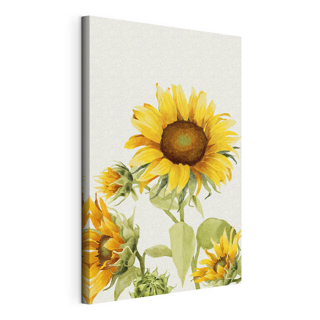 Tournesol vers le ciel — vue du produit