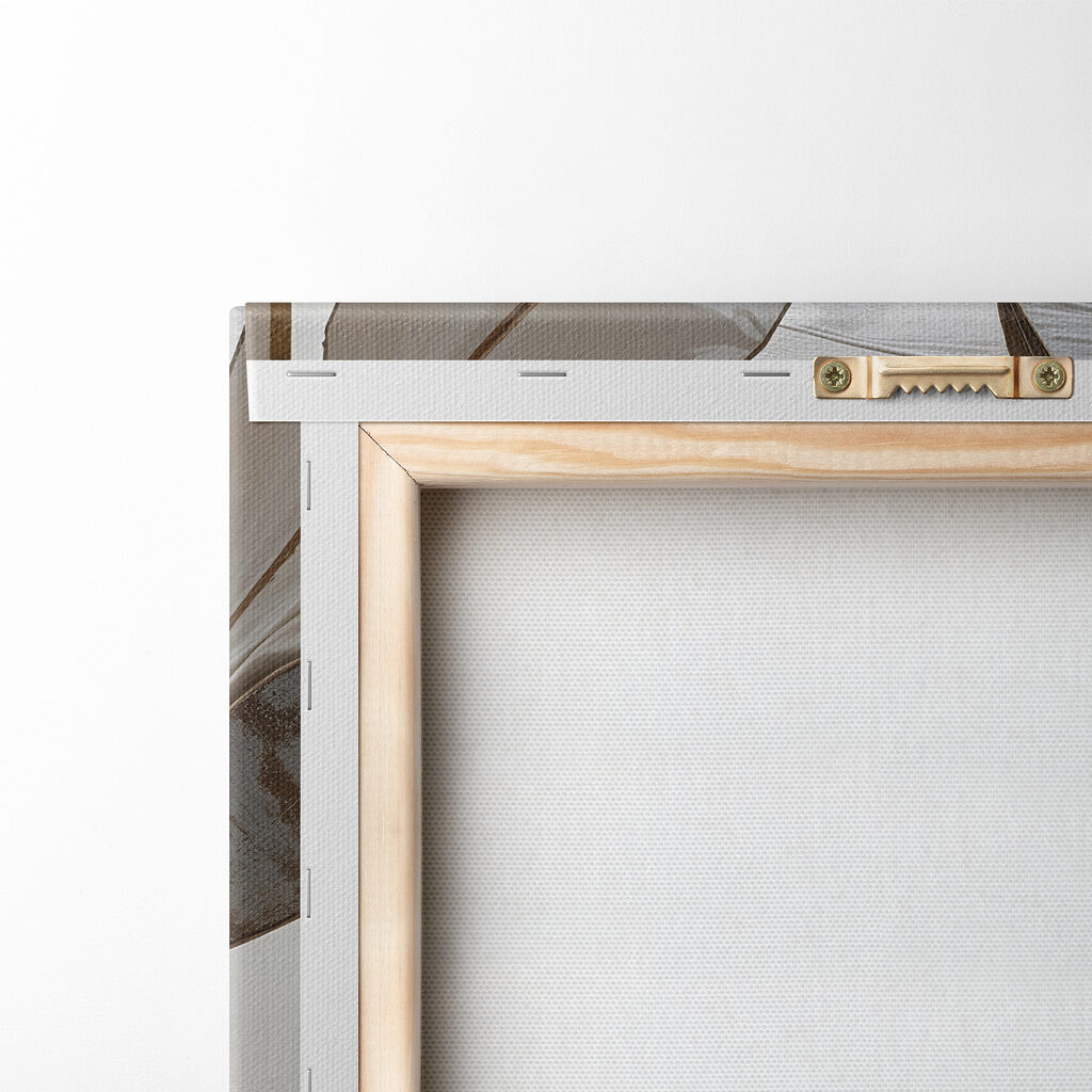 Feuilles et architecture — dos