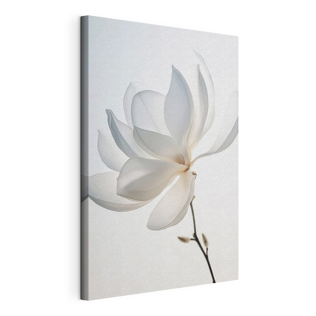Magnolia blanc incliné, toile tendue et bord enveloppé
