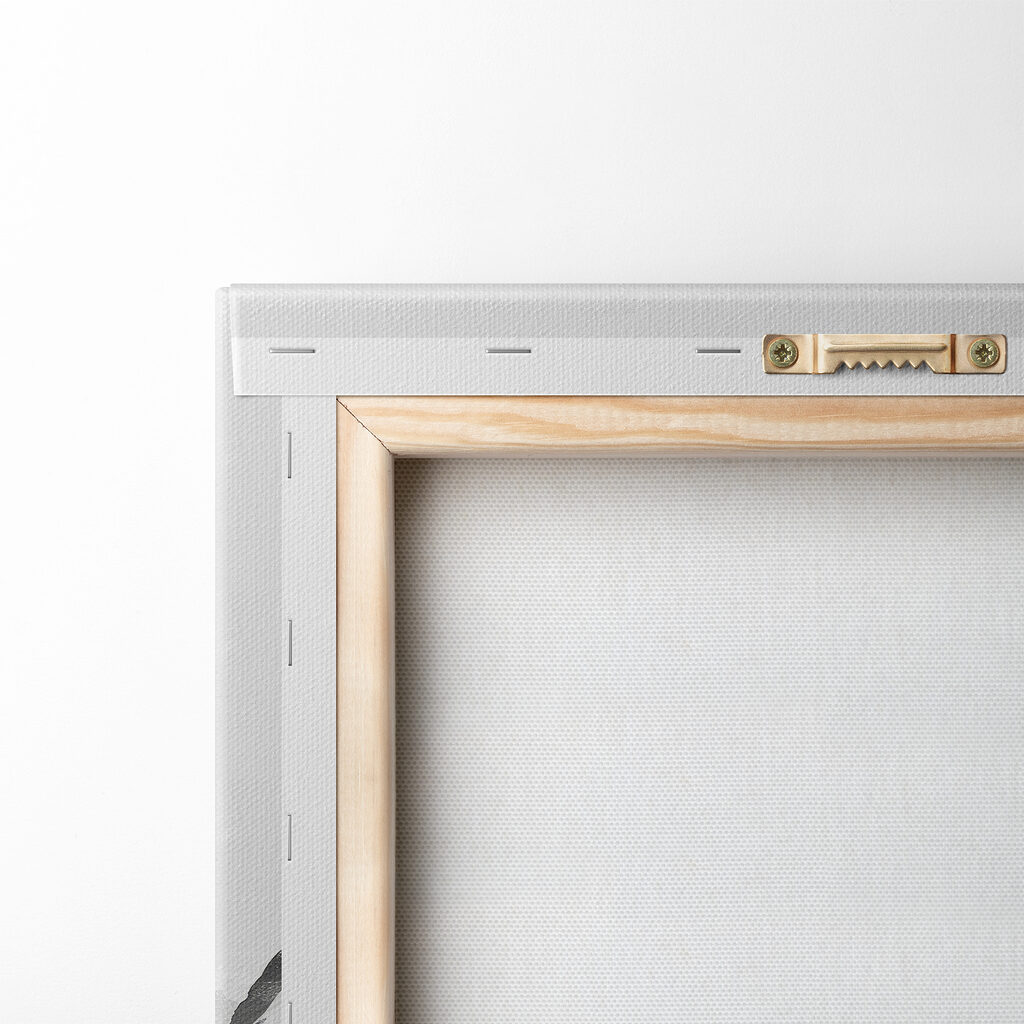 Montagne en miroir — dos