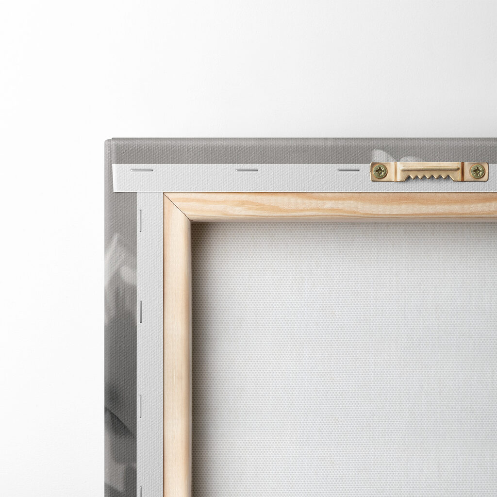 Pavots blancs sur gris — dos