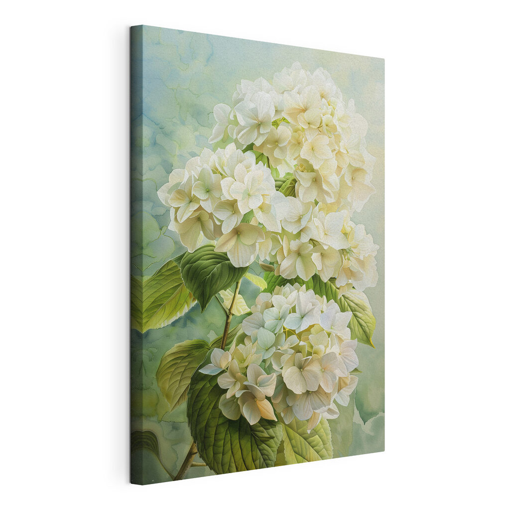 Hortensias au vert printanier — vue du produit