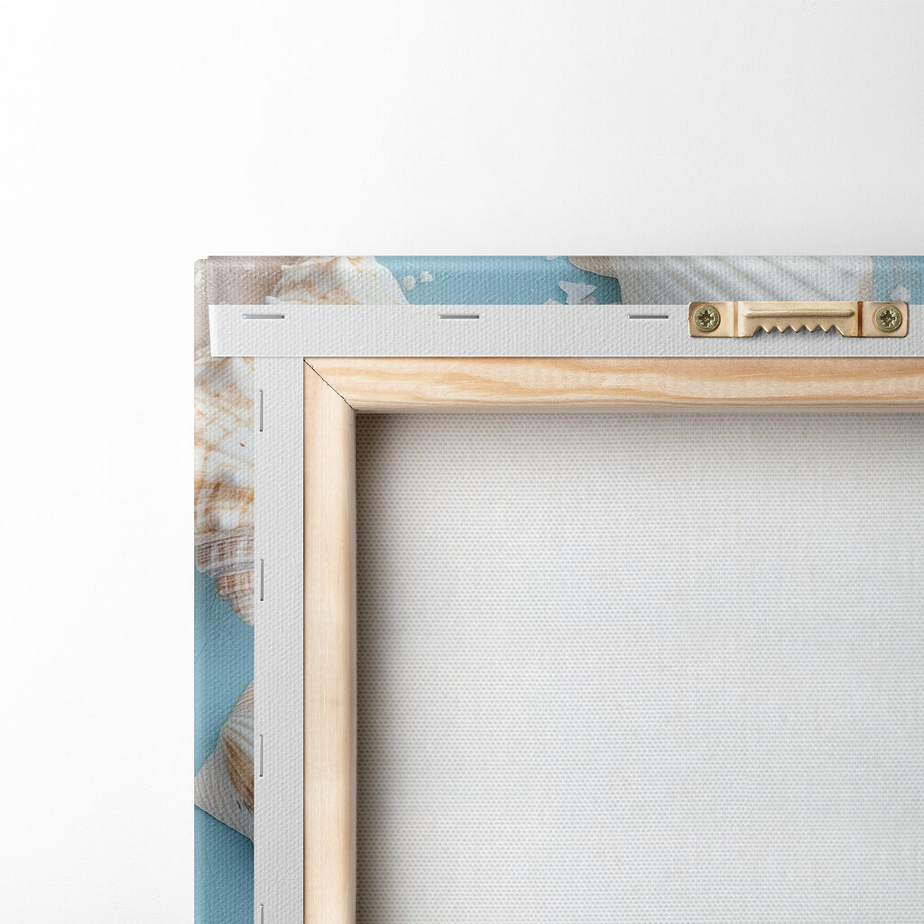 Coquillages sur bleu marin — dos