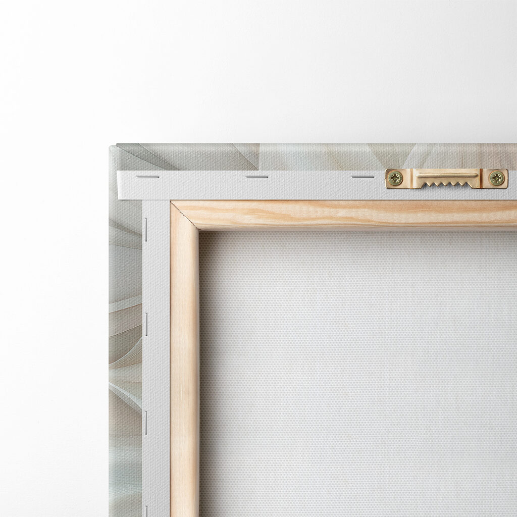 Tourbillon de pétales blancs — dos