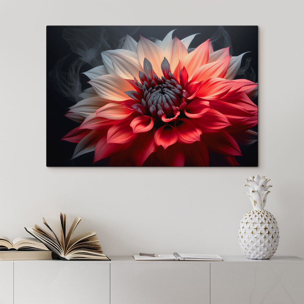 Dahlia bicolore — intérieur 2
