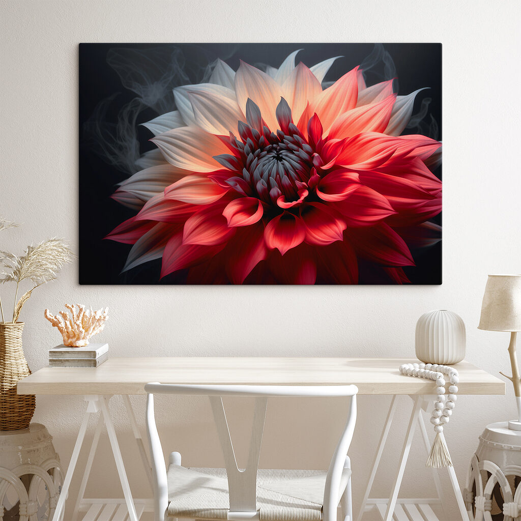 Dahlia bicolore — intérieur 3
