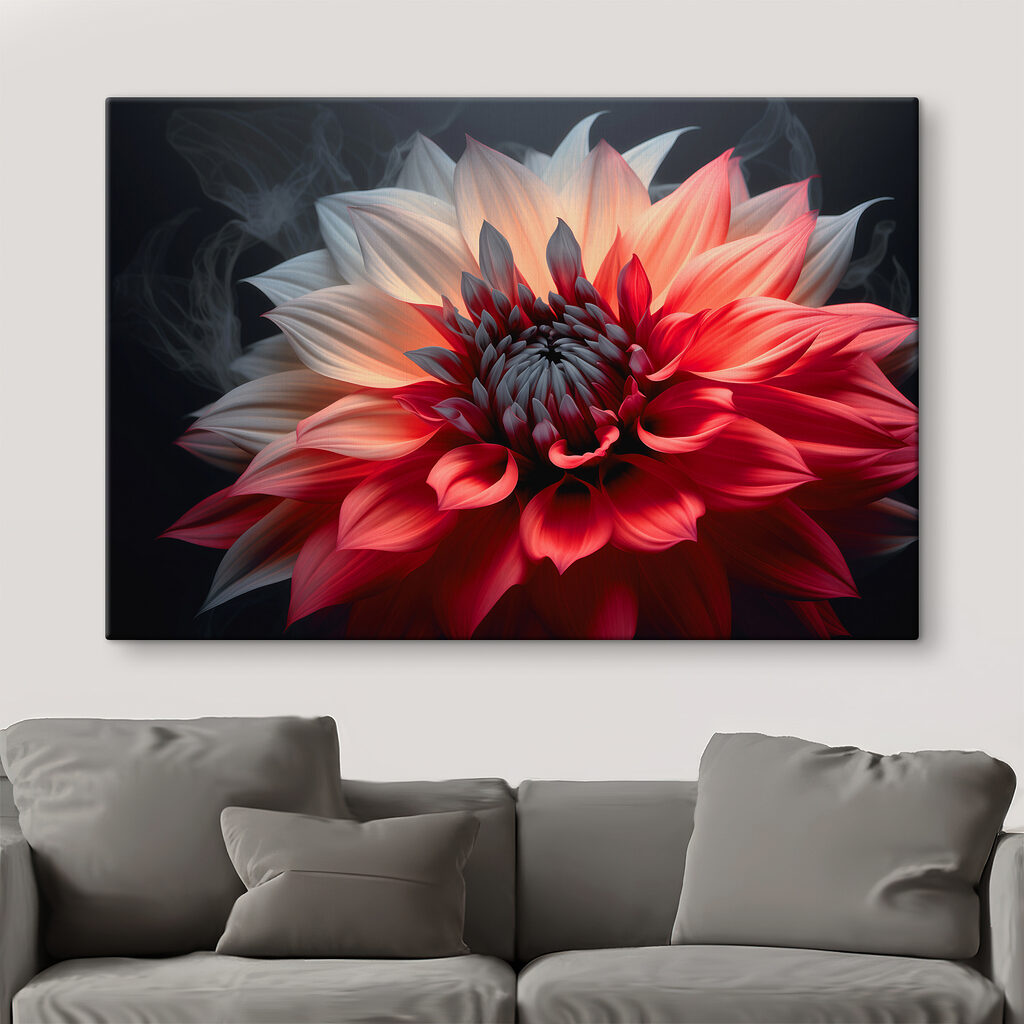 Dahlia bicolore — intérieur 1