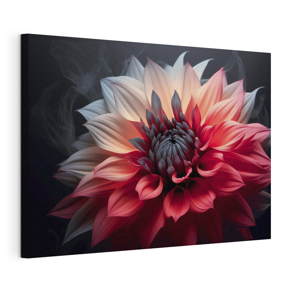 Dahlia bicolore — vue du produit