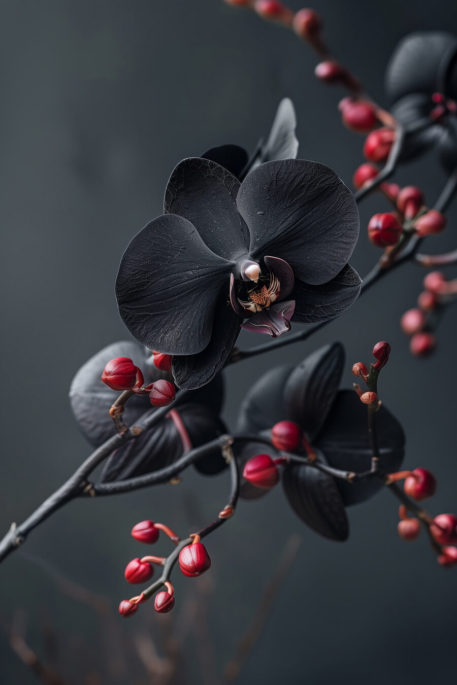 Orchidées noires sur rameau — motif complet