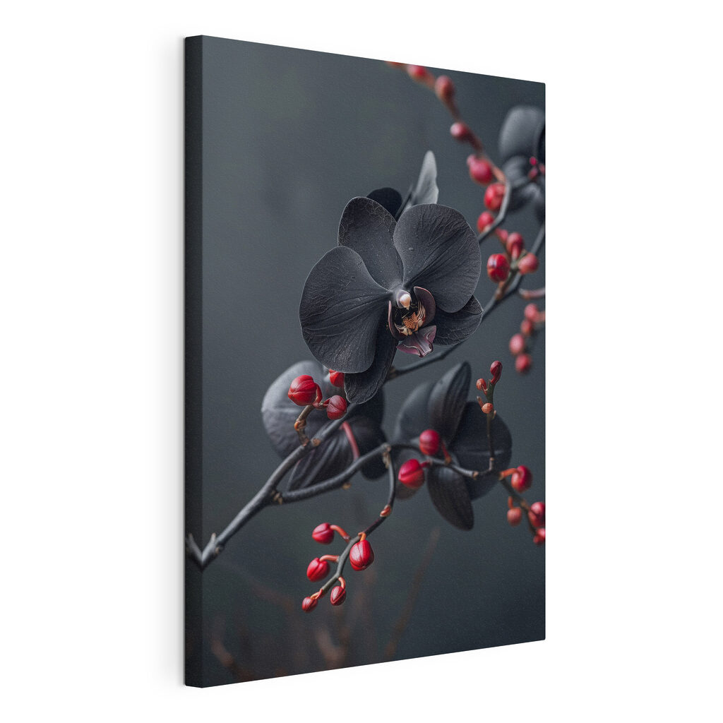 Orchidées noires sur rameau — vue du produit