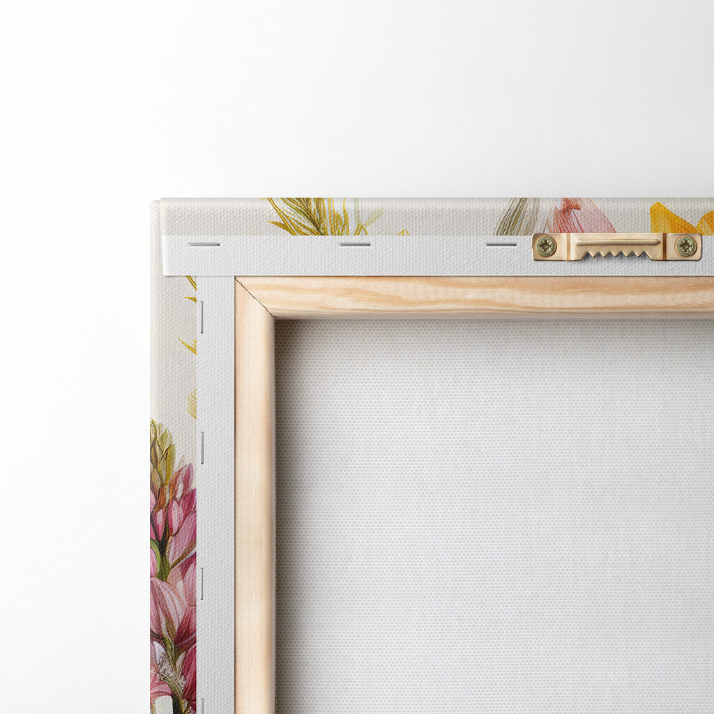 Fleurs des champs illustrées — dos