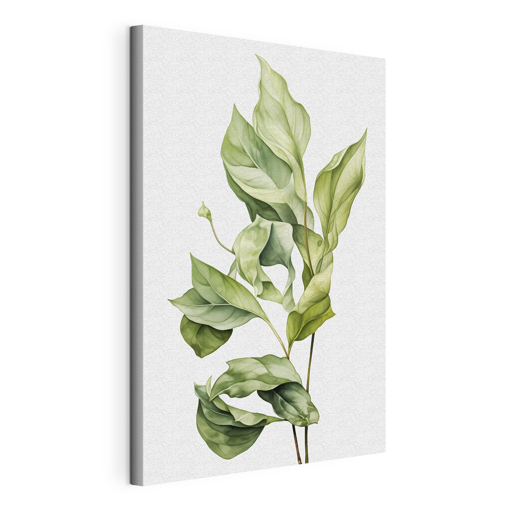 Feuilles vertes nervurées, toile tendue et bord enveloppé