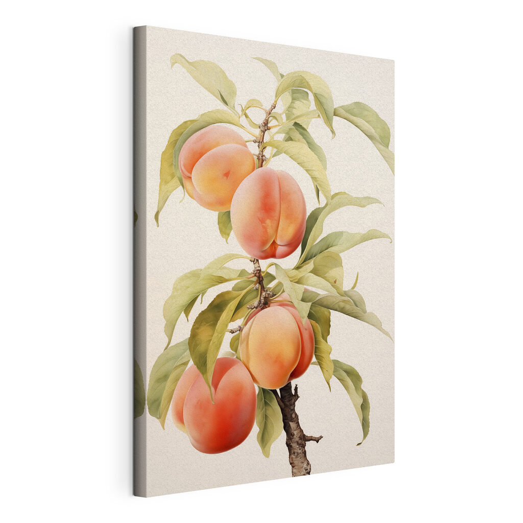Pêches sur la branche, toile tendue et bord enveloppé