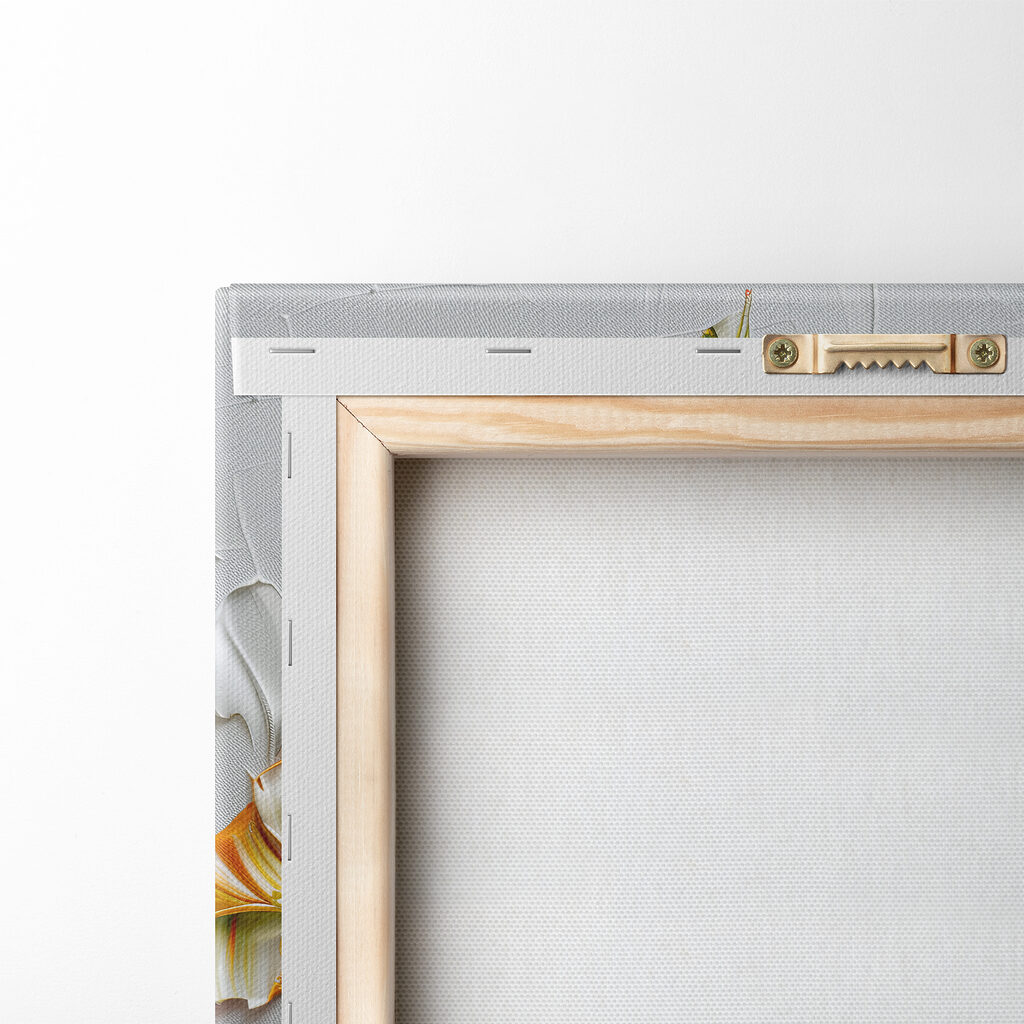 Guirlandes fleuries sur blanc — dos