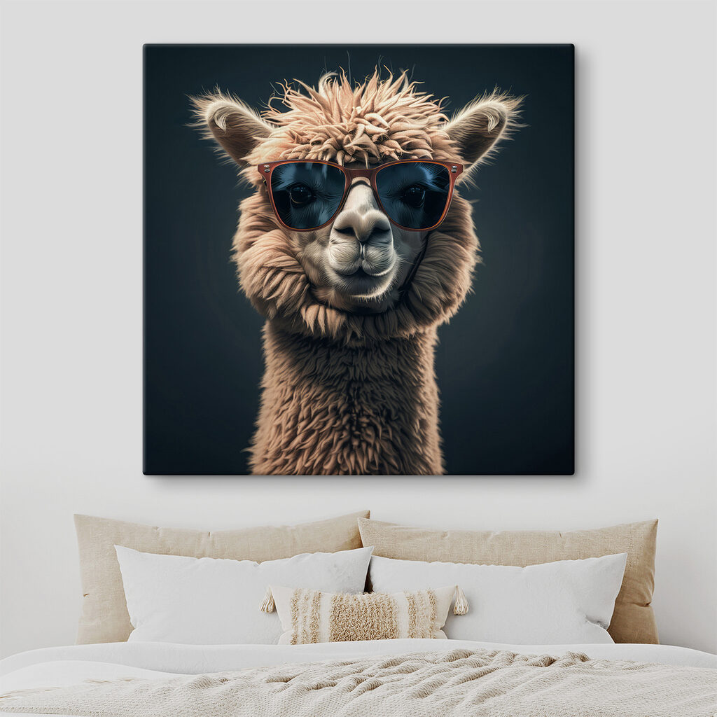 Lama aux lunettes noires — intérieur 2