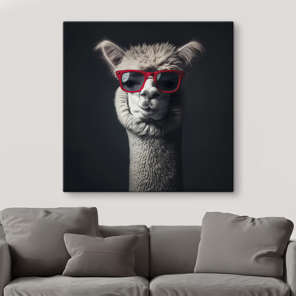 Lama aux lunettes rouges — intérieur 3
