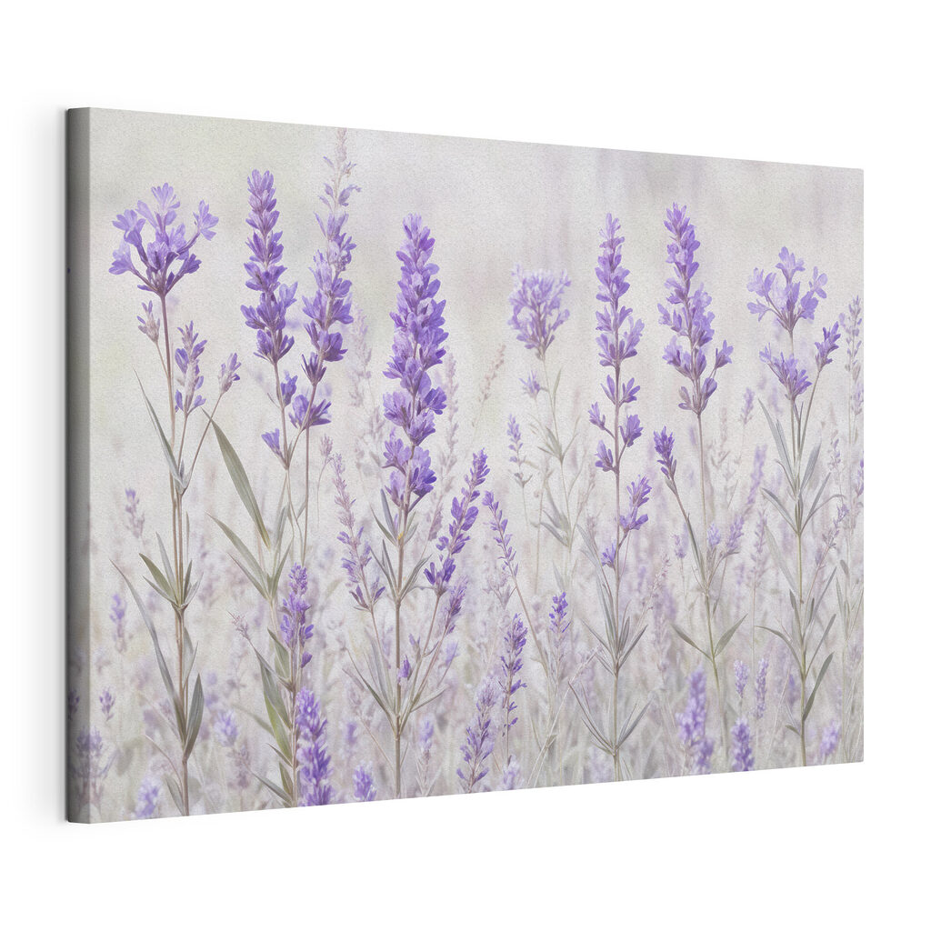 Lavande à l’aquarelle, toile tendue et bord enveloppé