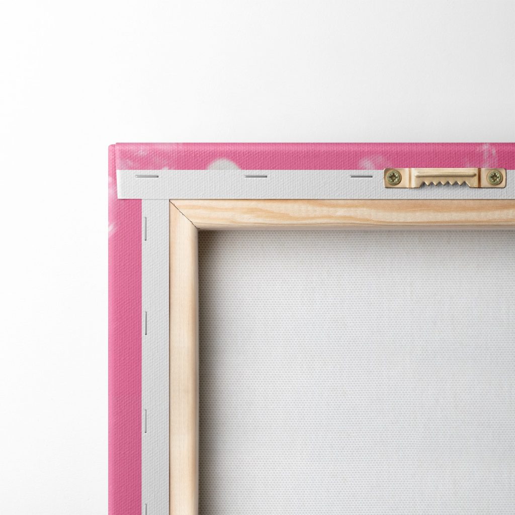Lapin aux lunettes roses — dos