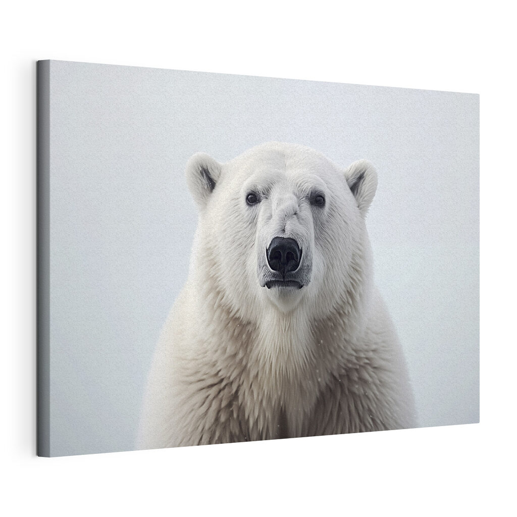 Ours blanc en silence — vue du produit