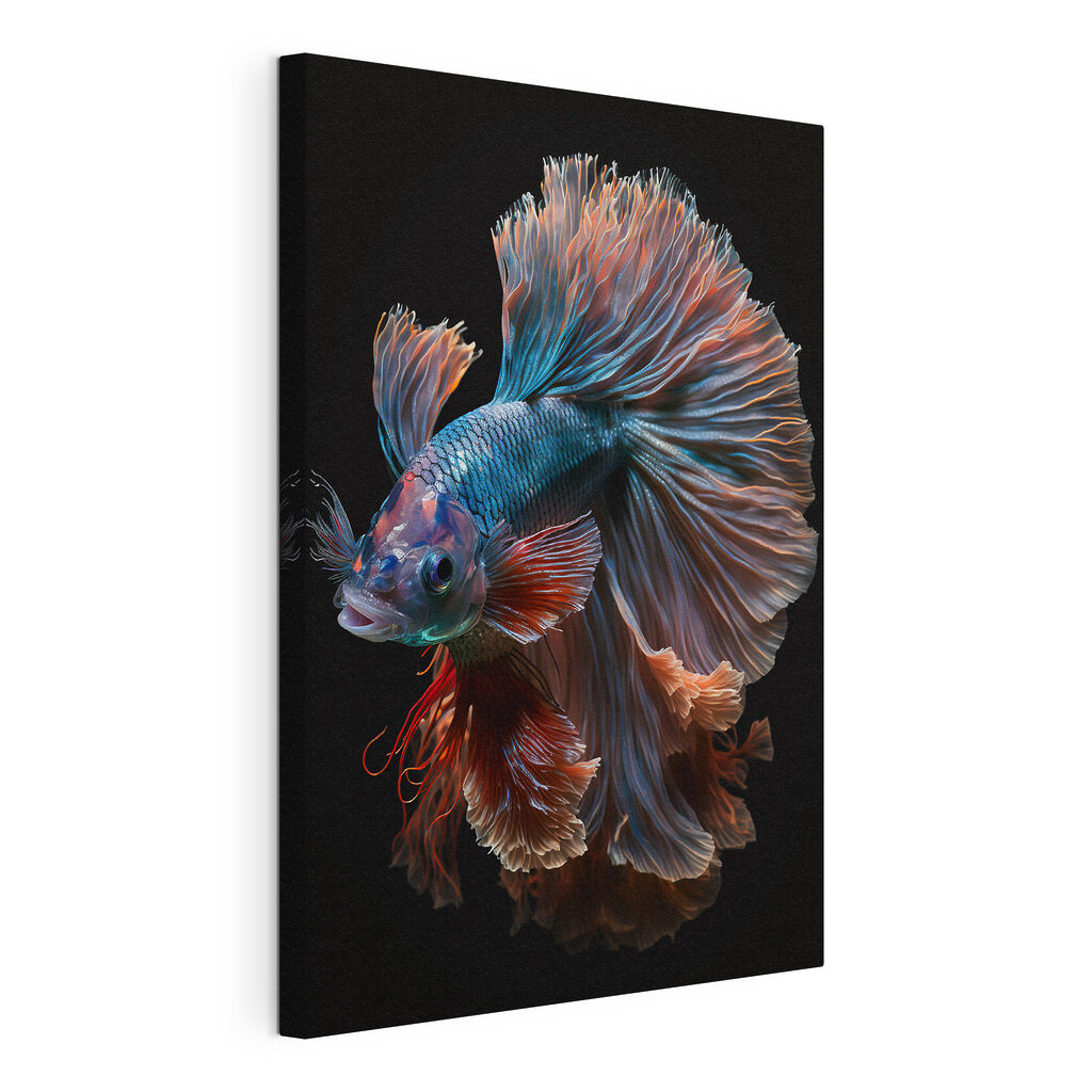 Poisson combattant nocturne — vue du produit