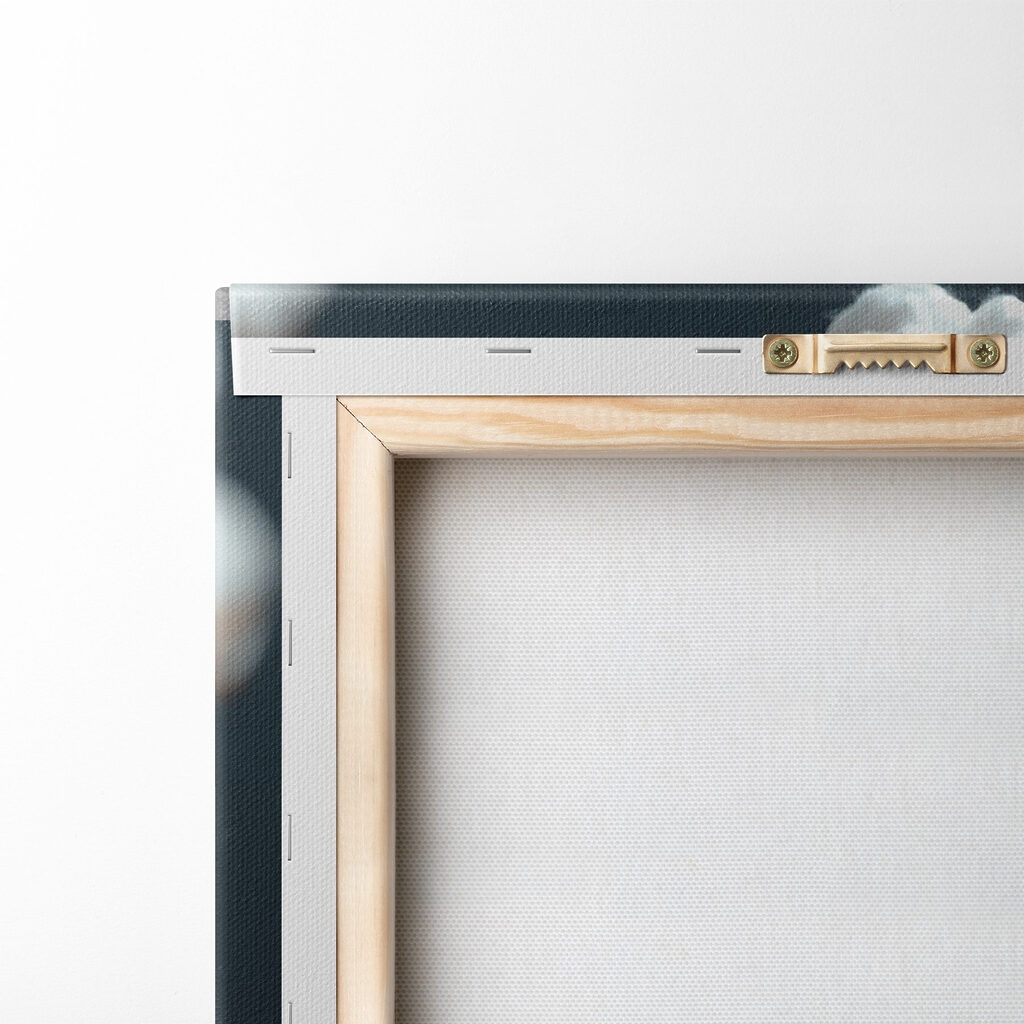 Branche de coton — dos