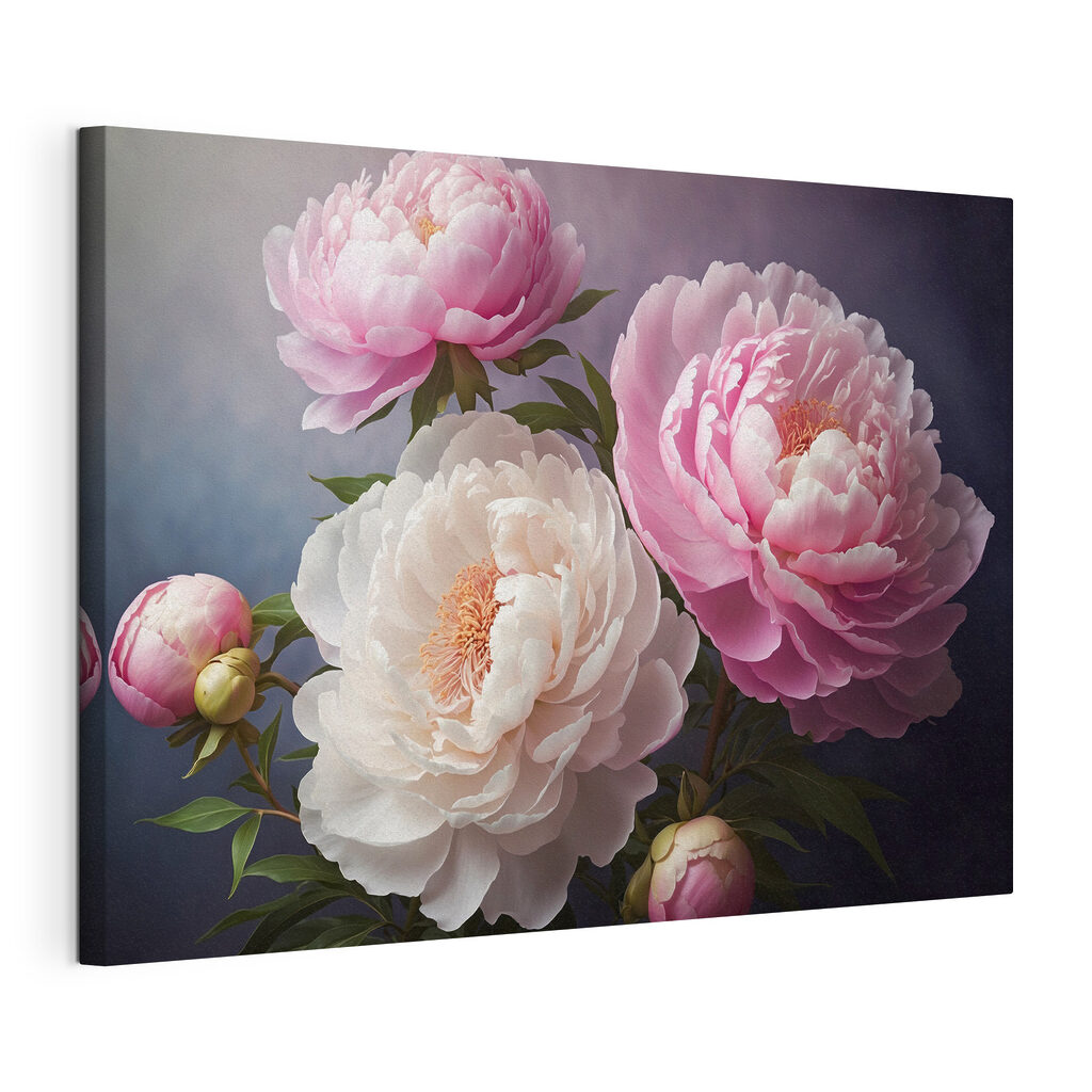 Trois pivoines au crépuscule — vue du produit