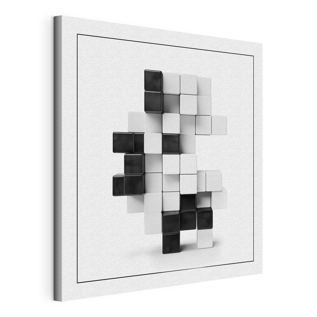 Cubes noir et blanc — vue du produit