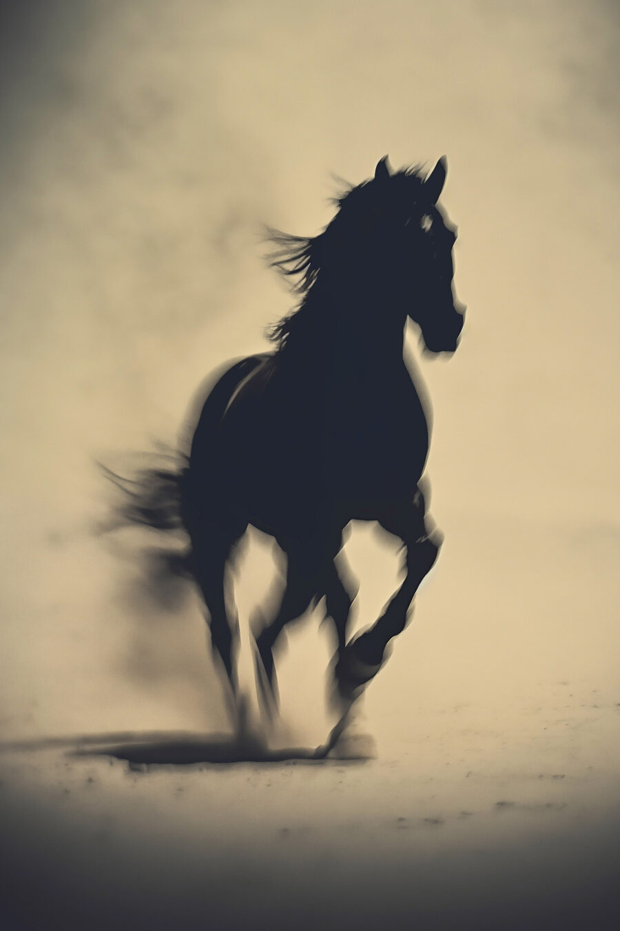 Silhouette de cheval — motif complet