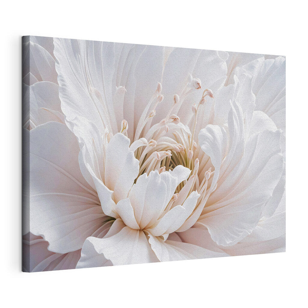 Pivoine aux pétales plissés — vue du produit