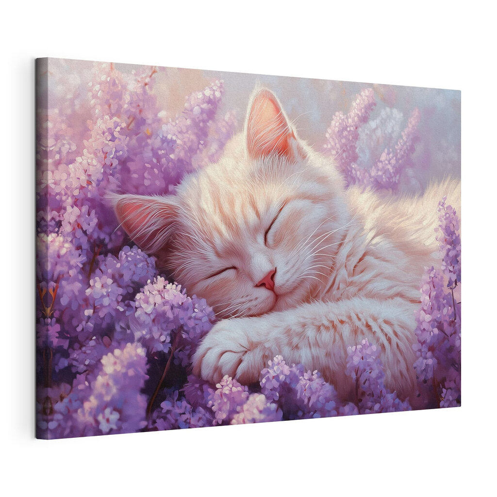 Chaton endormi, fleurs mauves — vue du produit