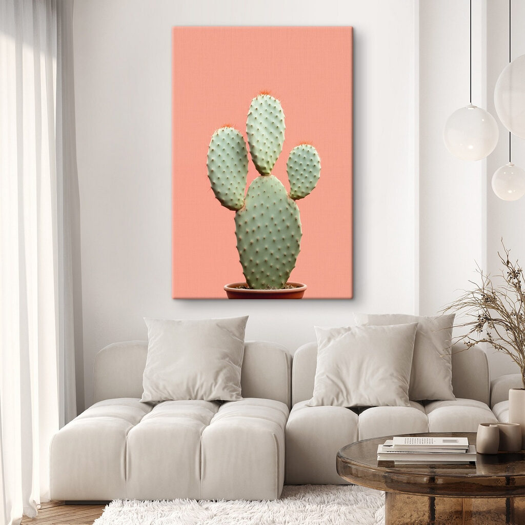 Cactus sur fond pêche — intérieur 2