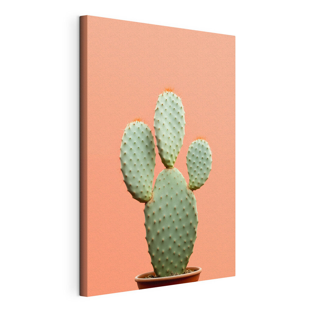 Cactus sur fond pêche — vue du produit