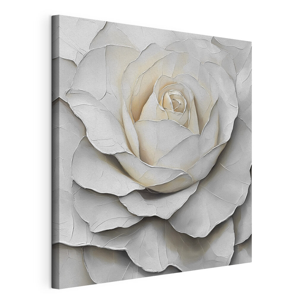 Rose blanche ombrée, toile tendue et bord enveloppé
