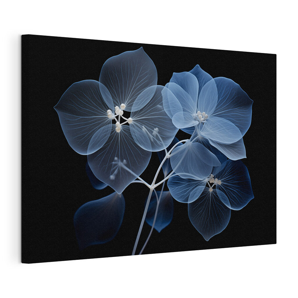 Fleurs bleues en transparence, toile tendue et bord enveloppé