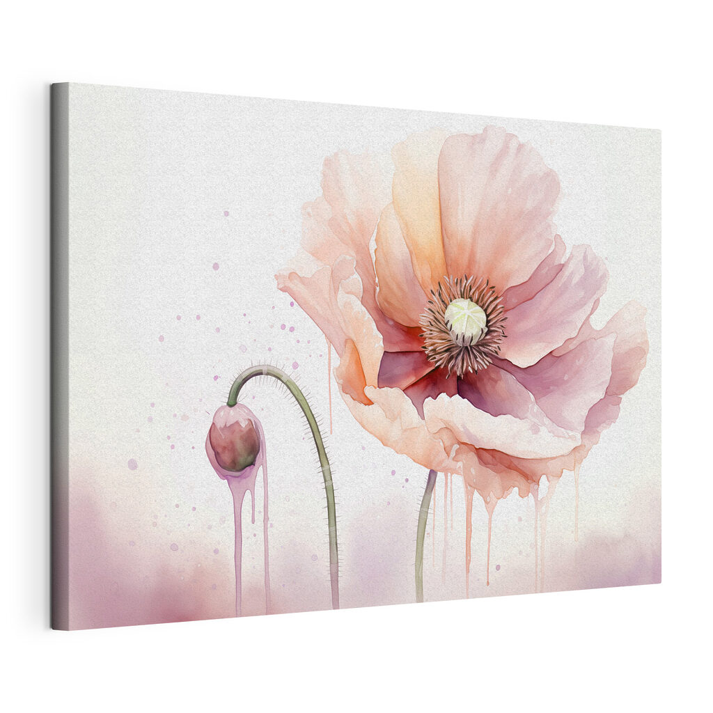 Coquelicot rose à l’aquarelle, toile tendue et bord enveloppé