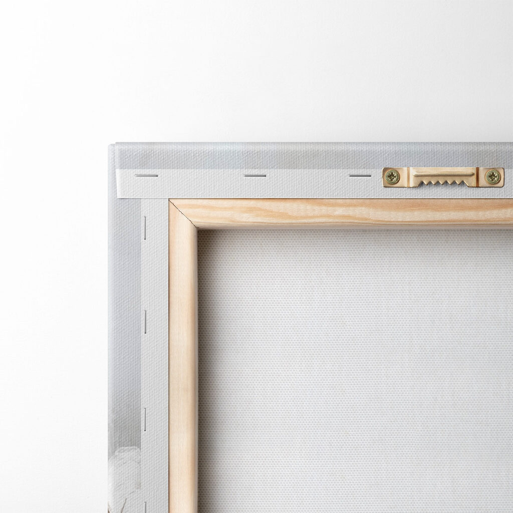 Branches de coton — dos