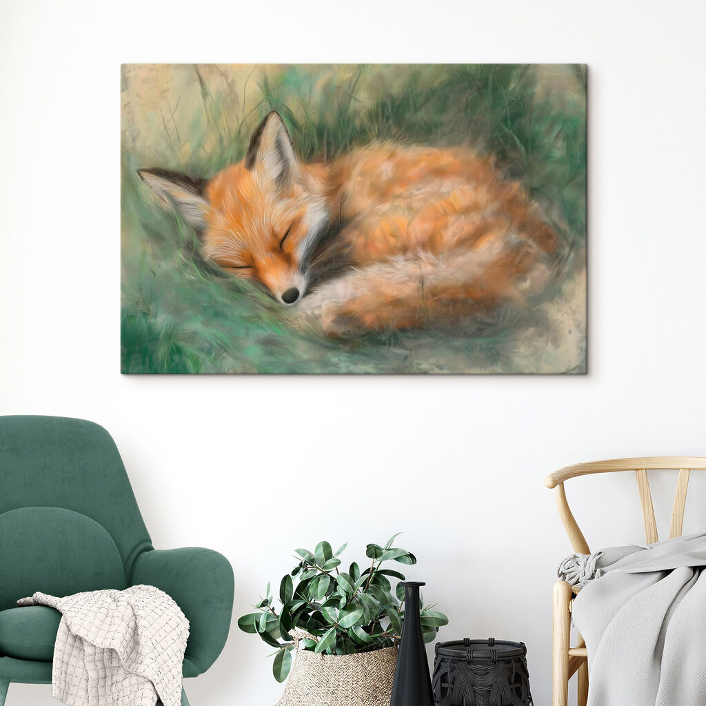 Renard endormi dans l’herbe — intérieur 1