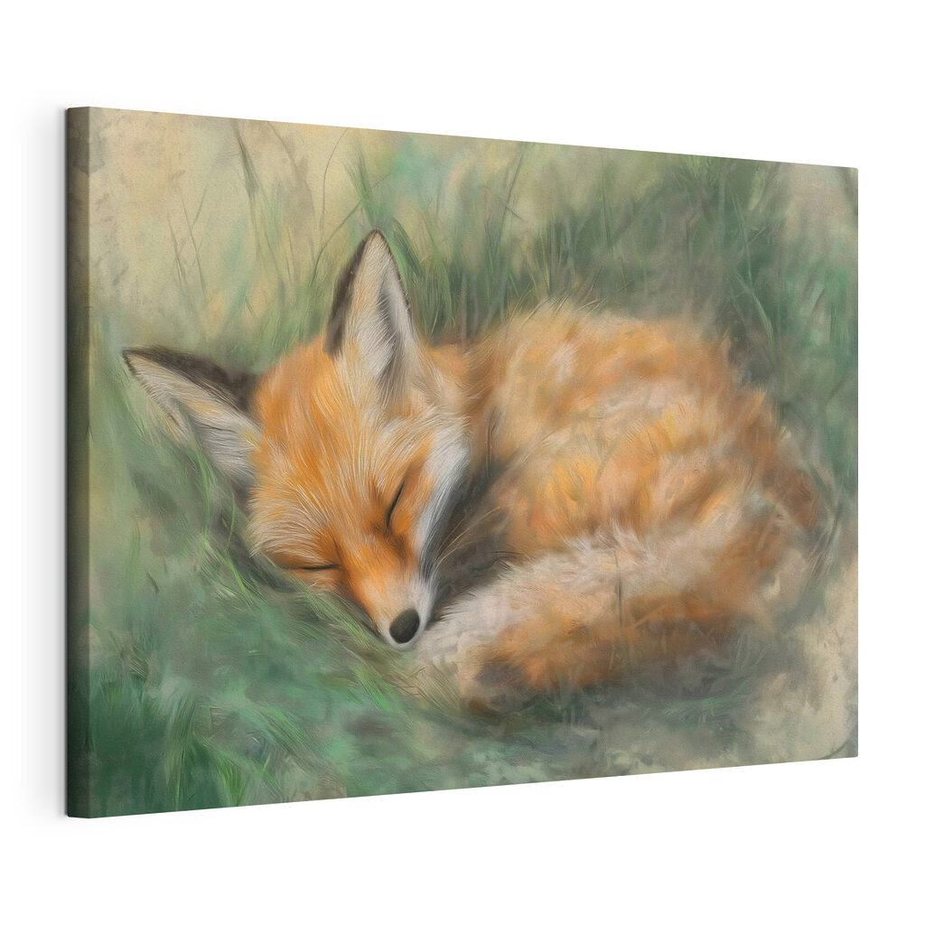Renard endormi dans l’herbe — vue du produit