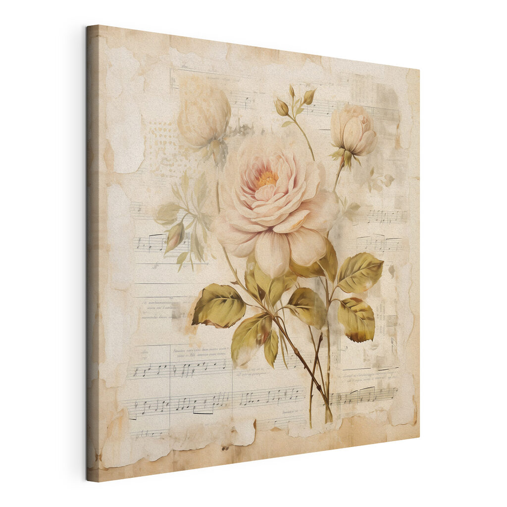 Rose pâle sur partition — vue du produit