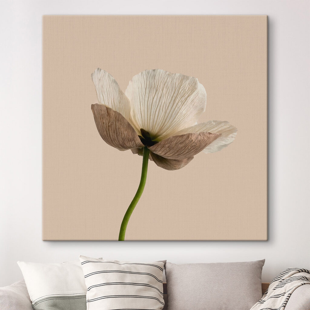 Fleur sur tige verte — intérieur 1