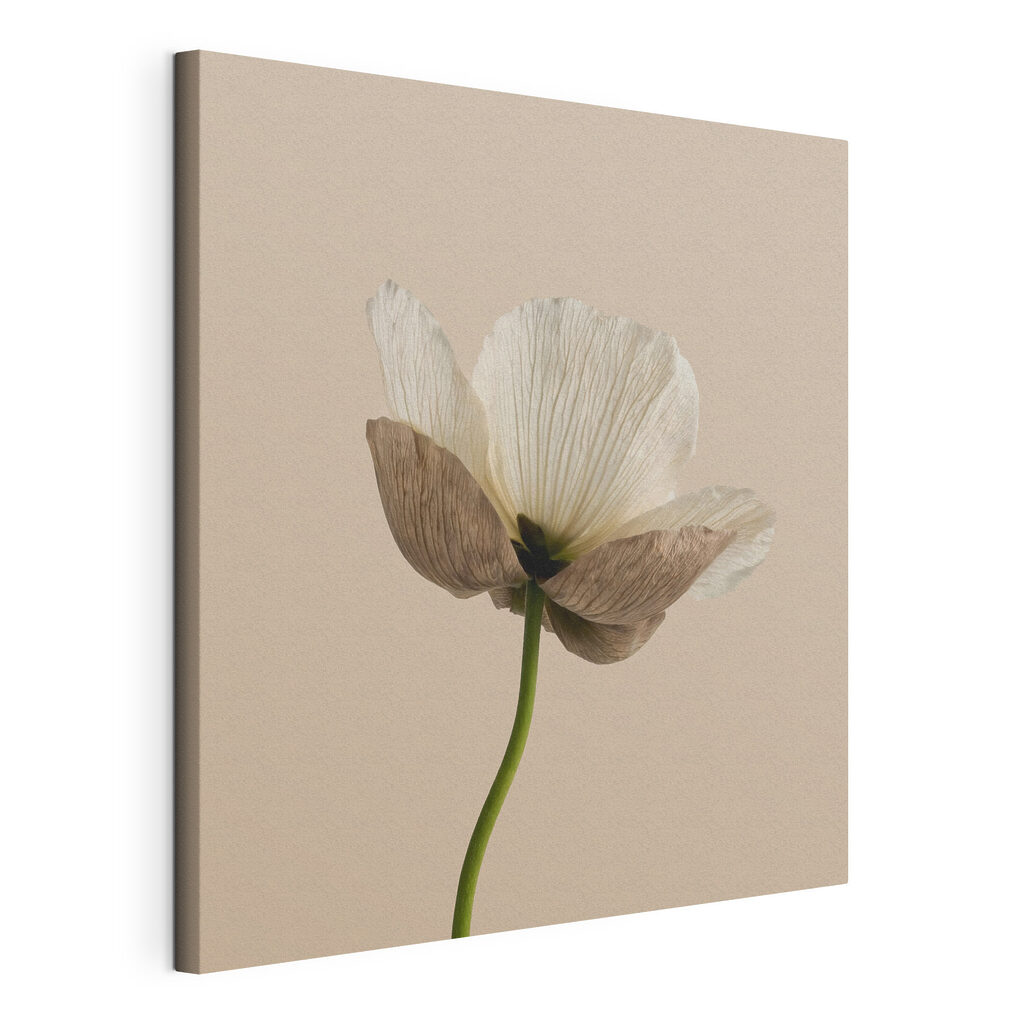 Fleur sur tige verte, toile tendue et bord enveloppé