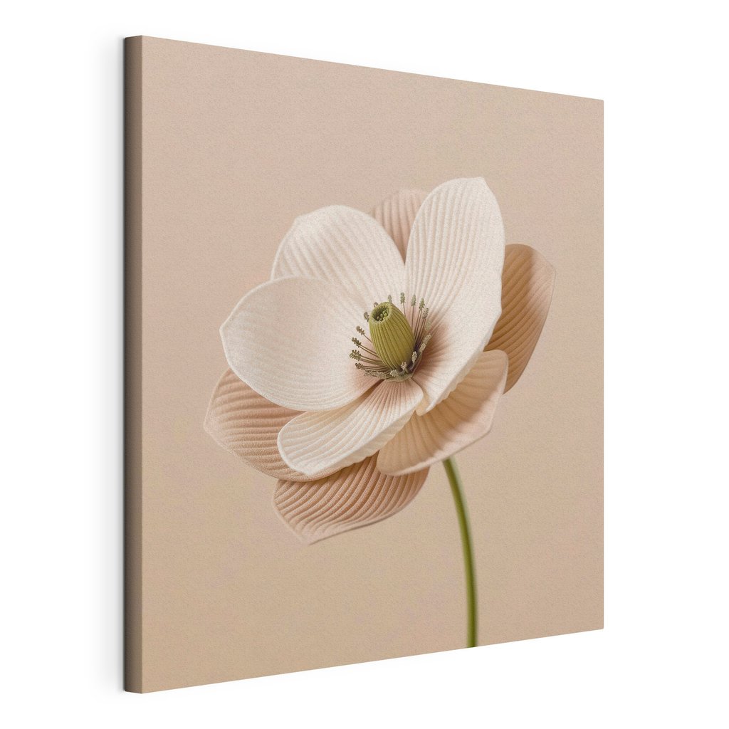 Fleur striée sur sable, toile tendue et bord enveloppé