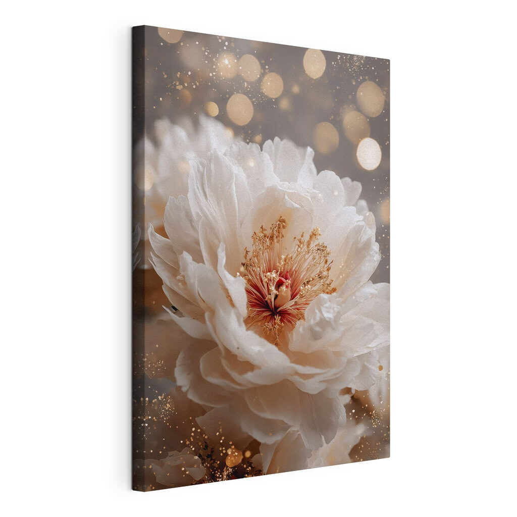 Pivoine blanche aux halos, toile tendue et bord enveloppé