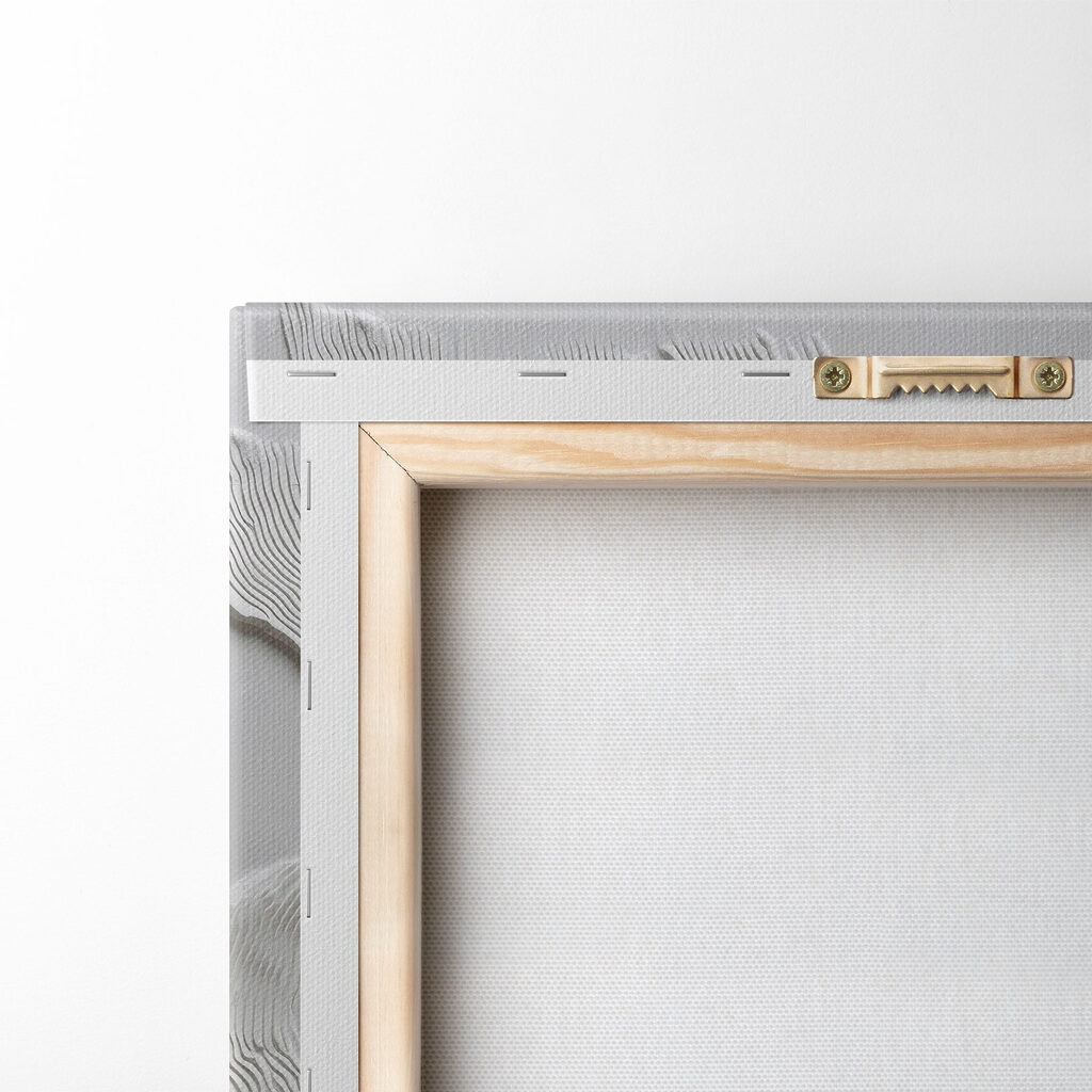 Écume sur gris doux — dos