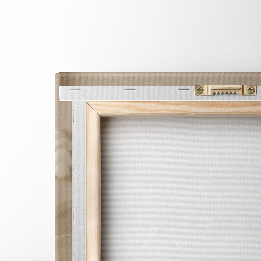 Sommets en doux relief — dos