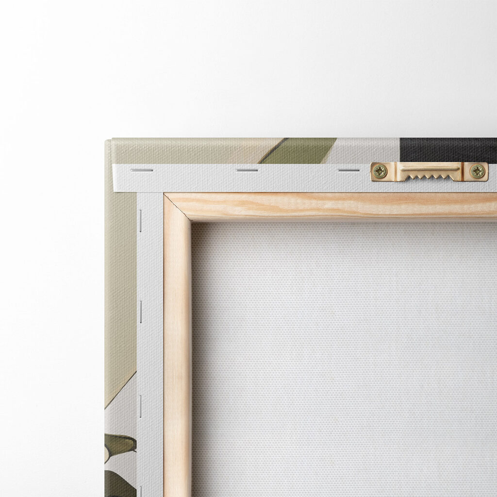Profil aux courbes olive — dos