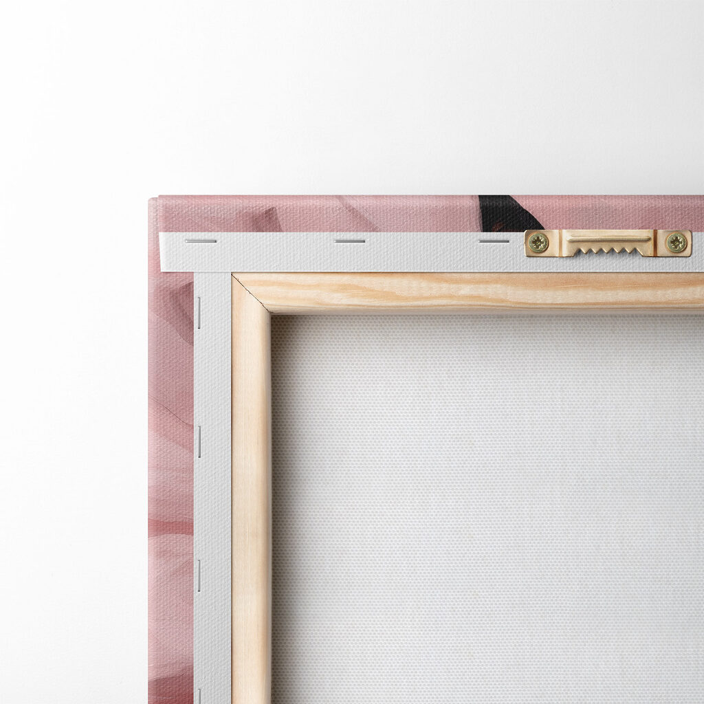 Chat sur couverture rose — dos