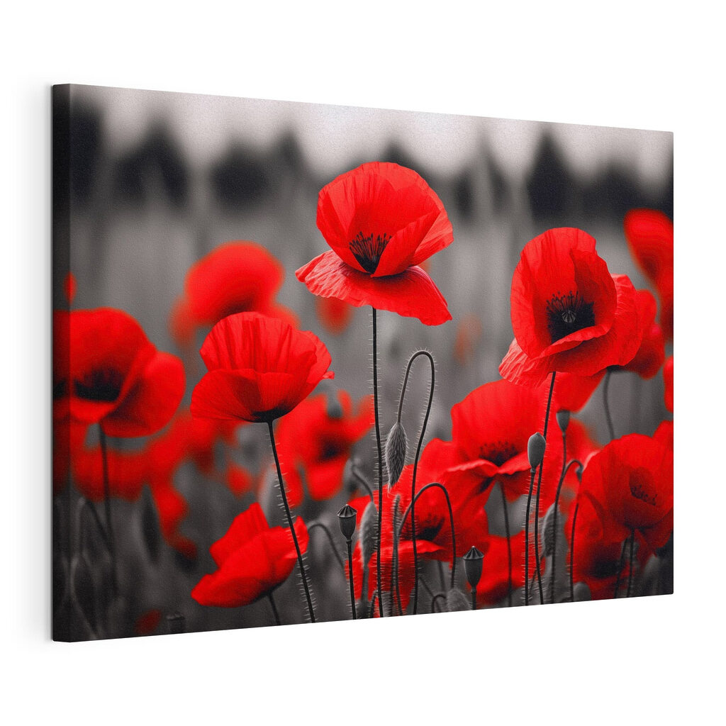 Coquelicots sur fond gris, toile tendue et bord enveloppé