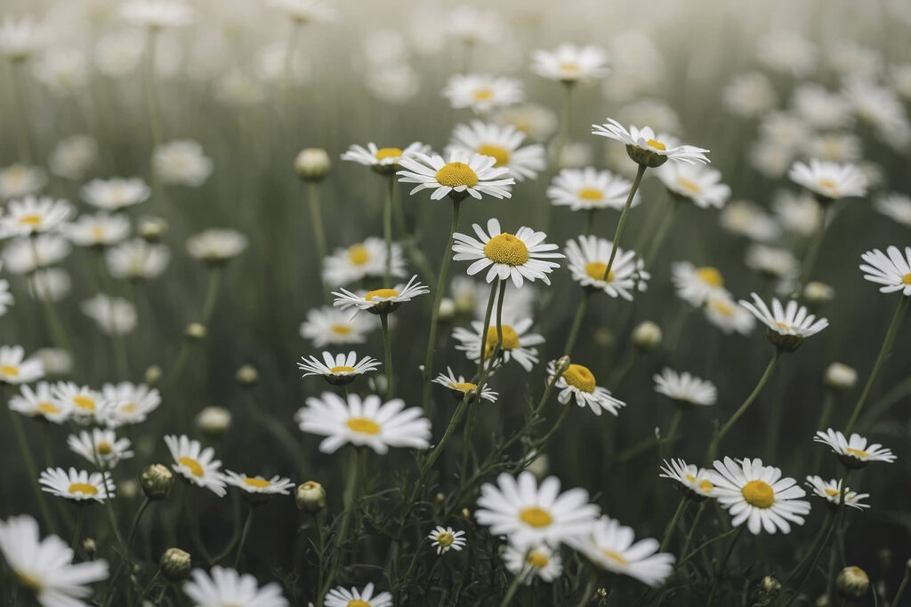 Fleurs dans l’herbe — motif complet